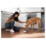 Sipworks Stainless Steel Dog Bowl 32oz Weighted Metal Food and Water Bowls for Dogs and Cats with Non-Slip Base - Pet Bowls for All Breeds Sizes for Travel & Outdoor Play - Steel