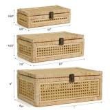 Boho Rattan Display Boxes with Rattan Lids, 3 Pcs Large Natural Handwoven Cane Basket, Home Decor Organizers Storage Bins, Natural Finish Display Boxes