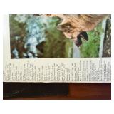 Record Albums - Ted Nugent, Rod Stewart and MORE