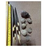 Racoon Wood Art, Pods, Porcupine Quills, Petrified Wood