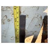 Iron Stakes or Posts