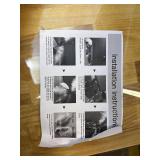 Retails for $110! Natural Ostrich Feather Floor Lamp White, Simple Modern Living Room Bedroom Standing Lamp, Pink Girl Bedroom Lamp(Color:White)