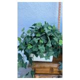 English Ivy Plant in White Basket