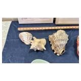 Coastal Collection - Seashell Art & Ceramic Box Set