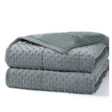 Alomidds Weighted Blanket, Luxury Velvet Weighted Blankets for Adults and Kids,Warm and Breathable Soft and Comfort Minky, Cute Heavy Blanket with Premium Glass Beads (36x48 5LBS, Grey)