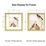 3x3 Picture Frame, Brass Metal Square Photo Frames with HD Glass, Fits 2x2 with Mat or 3 x 3 without Mat, Display for Wall and Table, 1 Pack