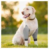Oudain 2 Pairs Dog Elbow Protector Dog Recovery Sleeve with Elastic Band Soft Padded Adjustable Front Leg Braces for Small Medium Large Doggy, 2 Colors(Medium)