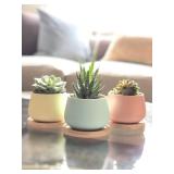 Assorted Blue Pink Yellow Round Ceramic Succulent Pots 3 Planters with Drainage | Bamboo Tray | 3 Pack - Retail: $19"