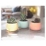 Assorted Blue Pink Yellow Round Ceramic Succulent Pots 3 Planters with Drainage | Bamboo Tray | 3 Pack - Retail: $19"