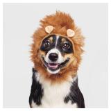 5 pack Lion Halloween Dog and Cat Headwear - assorted sizes Boots & Barkleyâ¢ - Retail: $12
