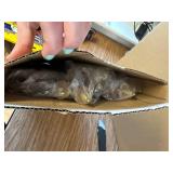 $100 Brightech Emma LED Floor Lamp with Wood Legs Walnut Brown