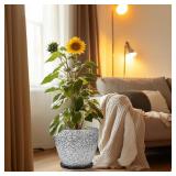 $60 10 Inch Ceramic Plant Pot with Drainage Tray GREY!! SEE PICS!