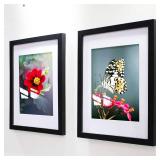 VITOIVE 14x14 Frame Black with Mat, Wood Picture Frame 2 Pack