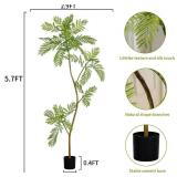 $99 Bailikang 5.7ft Artificial Jacaranda Tree Lifelike Green Leaves
