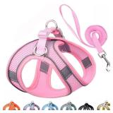 Small Dog Harness and Leash Set, No-Pull Reflective Puppy Harness for Outdoor Walking, Breathable Mesh Girl Cats Vest for XXS Xs Small Medium Female Pet Dogs, Pink XXS