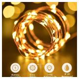 ANJAYLIA 2 Pack 33ft 100 LED Fairy Lights Battery Operated, Waterproof Twinkle String Lights, Copper Wire Dimmable Firefly Lights with Remote Control Timer, Warm White