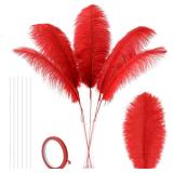 Soarer Red Ostrich Feathers for Vase - 10Pcs Making Kit 34inch Extra Large Ostrich Feathers Long for Tall Vase,Floral Arrangement,Theme Party Centerpieces and Wedding Home Decoration(Red)
