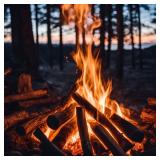 1OAK Fireside Candle - Scented Candles for Men - Campfire Candle Scent - Woodfire Candles (7oz.)