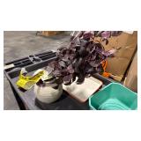 26\" Black Plum Leaf Artificial Fall Arrangement - Hearth & Handâ¢ with Magnolia - Retail: $50