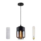 Pendant Light with Remote Glass Shade E26 Bulb 2700K Warm Light 3W Power 460561