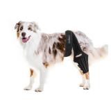 Bawektrl Dog Knee Brace for Dogs Rear Legs, Cruciate Ligament Care Stifle Knee Brace for Dogs Luxating Patella,Strong Support to Reduce Joint Pain and Muscle Sore, with Side Stabilizers for Back Leg