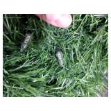 WEMADE 15.4ft Pre-Lit Christmas Garland with Lights 50 LED Lighted Garlands for Christmas Decorations Indoor Outdoor, Battery Operated 8 Modes Memory Timer for Mantel Stair Banister Doorframe Decor