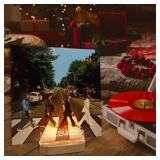 YuanDian Light up Now Playing Vinyl Record Stand, Now Spinning Record Stand, Wooden Acrylic Holder for Album Display Storage, Vinyl Record LED Display Storage Collection Holder with USB Powered