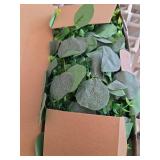 CQURE 4 Pack 5.9ft Eucalyptus Garland, Artificial Eucalyptus Leaves Spring Garland Fake Silver Dollar Greenery Wreath Vines for Wedding Table Party Mantle Bedroom Wall Room Decor - Retail: $20