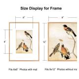 BKABOT 9x12 Picture Frame, Gold Metal Photo Frames with HD Glass, Fits 6x8 with Mat or 9 x 12 without Mat, Display for Wall and Table, 1 Pack
