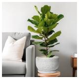 SQOWL Ceramic Flower Pots - 10 Inch Plant Pot Indoor with Drainage Hole and Saucer, Modern Ceramic Planter Outdoor, Decorative Large Round Planter, Bedroom Decor, Plant Lovers Gifts, Gray