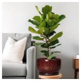 SQOWL Ceramic Flower Pots - 10 Inch Plant Pot Indoor, Ceramic Planter with Drainage Hole and Saucer, Round Decorative Large Planter Outdoor, Home Decor Living Room, Gifts for Plant Lovers, Red