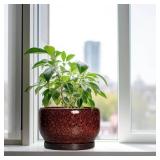 SQOWL Ceramic Flower Pots - 10 Inch Plant Pot Indoor, Ceramic Planter with Drainage Hole and Saucer, Round Decorative Large Planter Outdoor, Home Decor Living Room, Gifts for Plant Lovers, Red