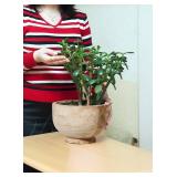 Serene Spaces Living Paulownia Wood Decorative Bowl Handmade Round Wood Bowl for Home D cor, Centerpieces, Wedding, Parties, and Floral Arrangements, 7" Tall & 11" Diameter