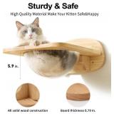 FUKUMARU Cat Wall Furniture Set, Transparent Capsule Kitten Walls Shelves with 2 PCS Pedals - Premium Kitty Bed for Sleeping, Playing, Climbing, and Lounging - Easily Holds Up to 35 Lbs
