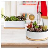 ARVINKEY White Ceramic Succulent Plant Pots, 1 Rectangular Flower Pot + 1 Round Planter, Set of 2 Small Cactus Container, Bonsai Pots, Succulent Pots with Drainage Hole& Bamboo Tray (No Plant) (Missin