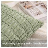 Aegero Pack of 2 Corduroy Decorative Throw Pillow Covers 18x18 Inch Soft Striped Pillow Covers Modern Farmhouse Home Decor for Sofa Living Room Couch Bed Aqua