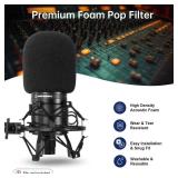 PhantAccy Pop Filter/Windscreen for Audio-Technica AT-2020 AT-2035 AT-2040 AT-2050 ATR2500 ATR2500X AT-4040 Microphones, Foam Mic Cover for Filtering Plosives and Hissing Noise (Foam-Black)