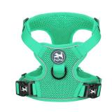 PoyPet Reflective Soft Breathable Mesh Dog Harness Choke-Free Double Padded Vest with Adjustable Neck and Chest(Mint Green,L)