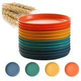FN GRACE 12 Pack 6 inch Unbreakable Wheats Straw Plates Reusable Plate Set - Dishwasher & Microwave Safe - Perfect for Dinner Dishes Salad Pasta Safe Healthy Dinner Plates kit - Retail: $13