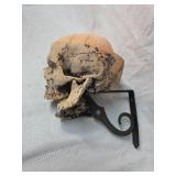 Wall mounted skull decor