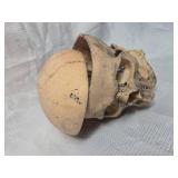 Wall mounted skull decor