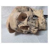 Wall mounted skull decor