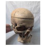 Wall mounted skull decor