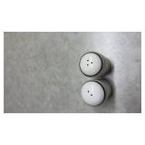 White Ceramic Salt and Pepper Shakers with Wolf and Pine Tree Design