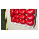 National Kidney Foundation Stress Balls - Box Set