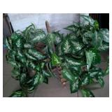 Handcrafted Wooden Plant Basket with Artificial Plants