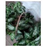 Handcrafted Wooden Plant Basket with Artificial Plants