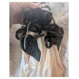 Angel Wing Porcelain Doll Collection + Stands - 3 ct