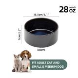Havniva Ceramic 6.1inch Dog Bowls for Small and Medium Breed Dog Dish Pet Food and Water Bowl (Set of 2 Bowls - Starry Sky, 28oz)