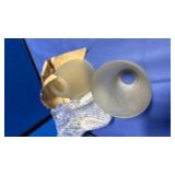 (2)Frosted Glass Light Shade Globe - Retail: $15
